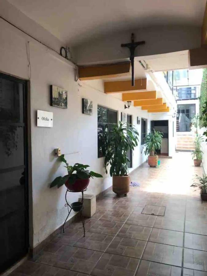 Cute Apart Excellently Located Διαμέρισμα Oaxaca Εξωτερικό φωτογραφία
