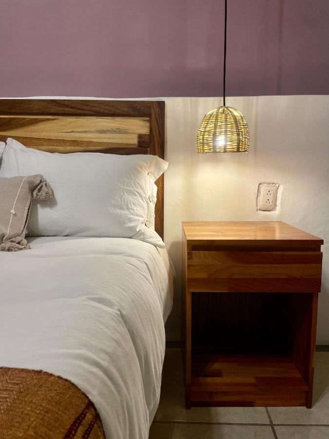 Cute Apart Excellently Located Διαμέρισμα Oaxaca Εξωτερικό φωτογραφία