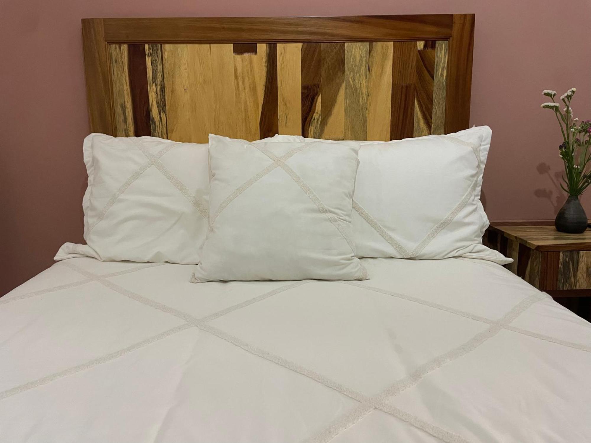 Cute Apart Excellently Located Διαμέρισμα Oaxaca Εξωτερικό φωτογραφία