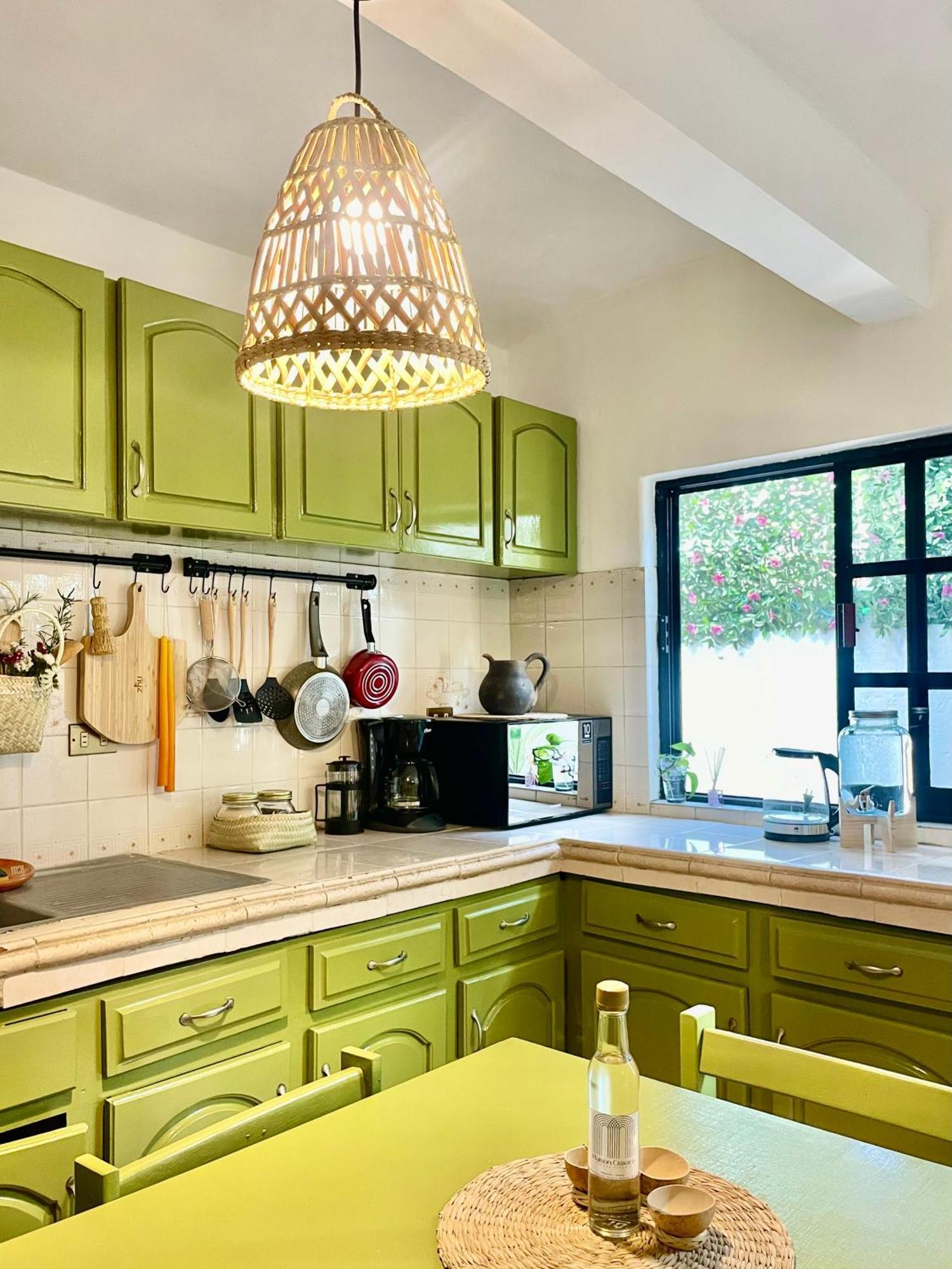 Cute Apart Excellently Located Διαμέρισμα Oaxaca Εξωτερικό φωτογραφία
